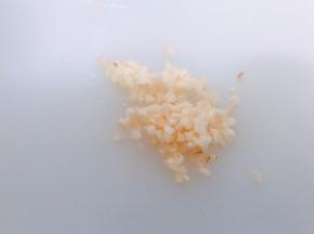 大蒜切末