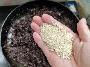 加入一把白芝麻翻拌均匀！