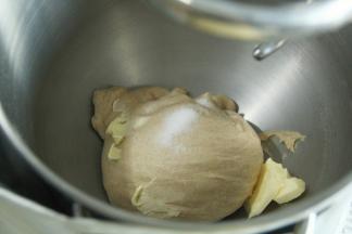 开1档混合成团，转5档6-8分钟打至粗膜状态，面团略光滑，加盐和黄油。