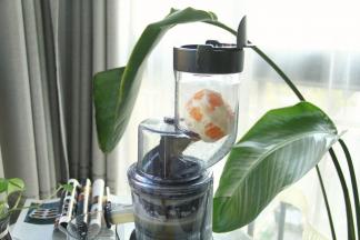 原汁机大口径，梨大块、橙子整个直接放进去！