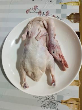 鸭去掉内脏，清洗干净备用！