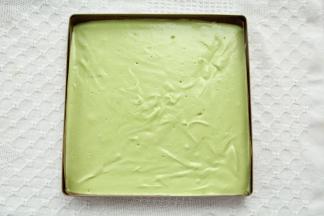 从20CM高处倒入垫好油布的28*28金盘中，晃平或者用刮板刮平，提起从高处振2下振出大气泡。