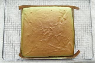 烤完取出，振出热气后，转移到冷凉架上冷凉，盖上油纸防止表皮被吹干。微温后倒扣，撕掉底部的油布！盖油纸晾至温热。