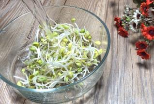 黄豆芽洗净，沥水备用