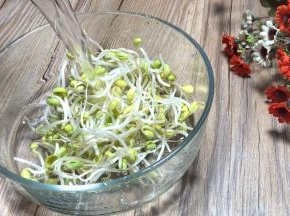 黄豆芽洗净，沥水备用