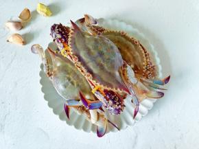 挑选新鲜的梭子蟹。