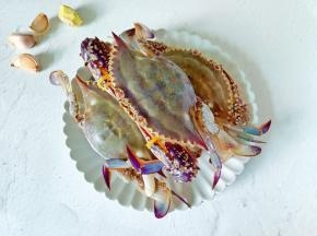 挑选新鲜的梭子蟹。