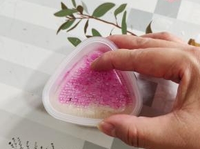 盖上三角饭团模具盖子，使劲儿按压紧实一些！以免散开！