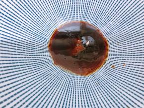 加入盐和芝麻油