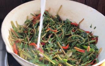 淋入淀粉水勾芡