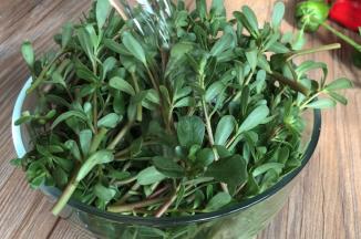 马齿苋摘洗干净，沥水备用