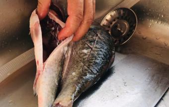 加盐和料酒，里外抹匀腌制20分钟