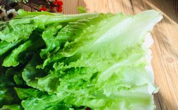 生菜摘洗干净，沥水备用