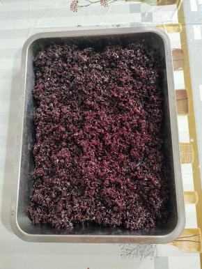 煮熟的米饭，倒出来，打散，晾凉！