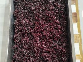 煮熟的米饭，倒出来，打散，晾凉！