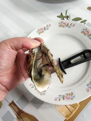 这样就很容易把生蚝打开了！