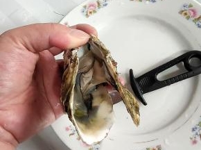 这样就很容易把生蚝打开了！