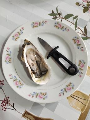 打开后的生蚝，把里面的生蚝肉取出来清洗干净！