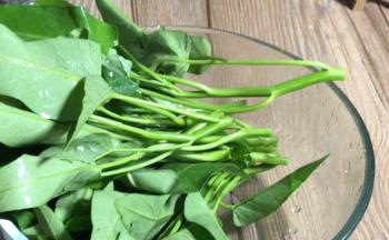 青菜摘洗干净，沥水备用