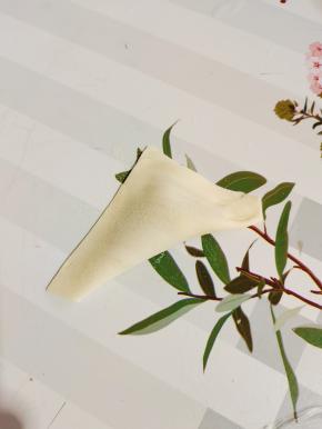 把饺子皮对折，捏紧！（也可以根据自己的喜好，做出不同的形状！）