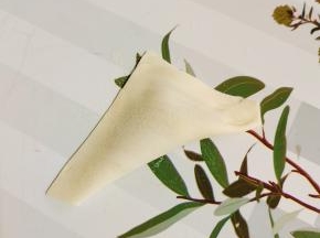 把饺子皮对折，捏紧！（也可以根据自己的喜好，做出不同的形状！）