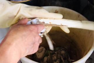 手上戴着手套，将山药去皮