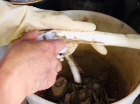 手上戴着手套，将山药去皮