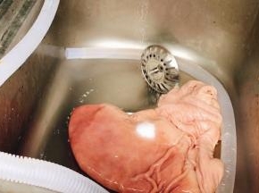 猪肚加面粉抓捏均匀洗净，再加盐抓捏均匀洗净