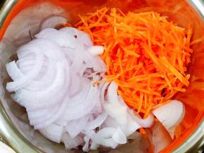 洋葱和胡萝卜分别切成细丝