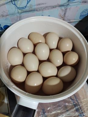 鸡蛋表面清洗干净，放在锅里！