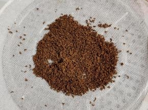 千万记得只能放在通风处自然风干，不能在太阳下暴晒，要不然桂花会变黑哦！