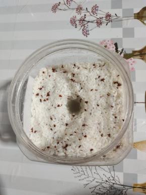 甘甜多汁儿，香味扑鼻的桂花甜酒酿就做好了！