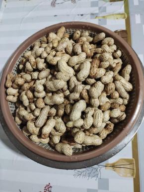 捞起来沥干水分！（花生太多了，一锅煮不下，剩下的倒在阳台上晾晒干，再保存，每天吃一把生花生，可以治疗和缓解胃病哦！）