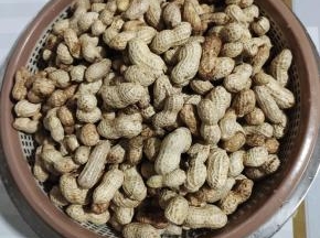 捞起来沥干水分！（花生太多了，一锅煮不下，剩下的倒在阳台上晾晒干，再保存，每天吃一把生花生，可以治疗和缓解胃病哦！）