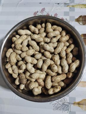 把花生放在电压锅内胆中！