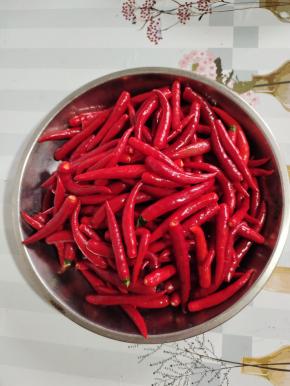 红辣椒清洗干净沥干水分，去蒂备用！
