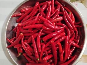 红辣椒清洗干净沥干水分，去蒂备用！