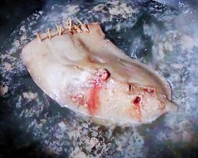 锅中烧开水倒入料酒放入猪肝焯水去除多余的血水和杂质