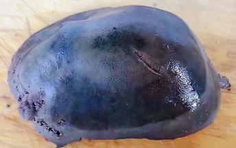 煮好的五香猪肝取出晾至不烫手取下牙签