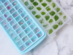 薄荷叶洗净，石榴和薄荷分别放入冰格中提前冻成冰块。苹果醋提前放入冰箱冷藏。