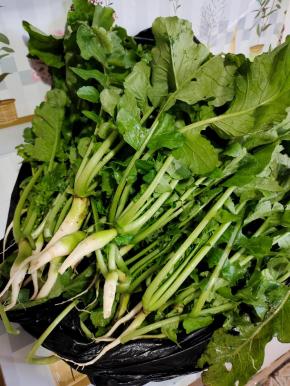 萝卜缨清洗干净，沥干水分备用！