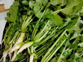 萝卜缨清洗干净，沥干水分备用！