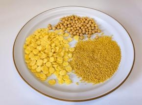 食材：玉米片，小米，黄豆。