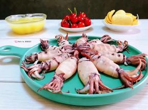 小鱿鱼营养价值非常丰富经常食用对身体有益
