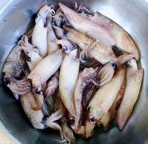 在市场买到新鲜的小鱿鱼准备做一道超级鲜美的小鱿鱼