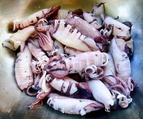 处理好的小鱿鱼多次冲洗干净沥干水份备用