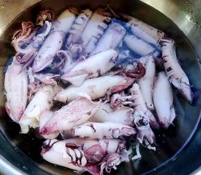 焯好水的小鱿鱼立即放人冰水中过凉