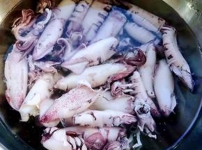 焯好水的小鱿鱼立即放人冰水中过凉