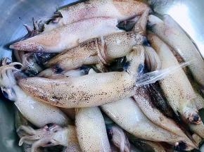 小鱿鱼去掉牙齿和内脏