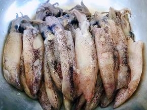 小鱿鱼依次都取出鱼骨洗净沥干水份